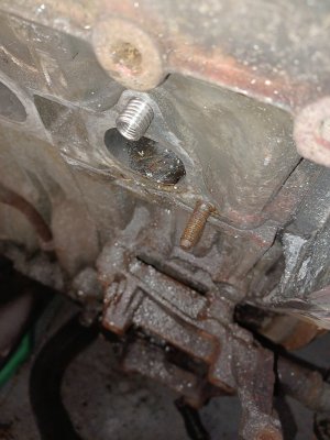 20220123_193402.jpg