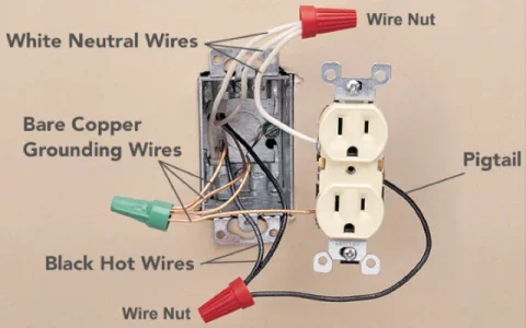 Parallel-wired-receptacle-385-Russells.webp