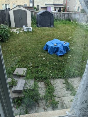 PXL_20220720_210422970.jpg