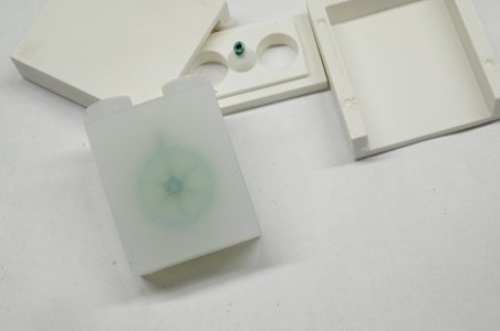 MWZ_5561-1300x864.JPG