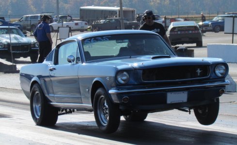Mustang 1nlp.JPG