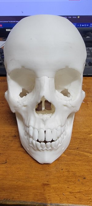 20240205_153034.jpg