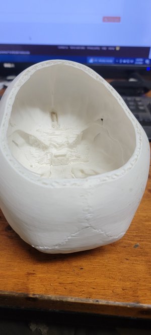 20240205_153042.jpg