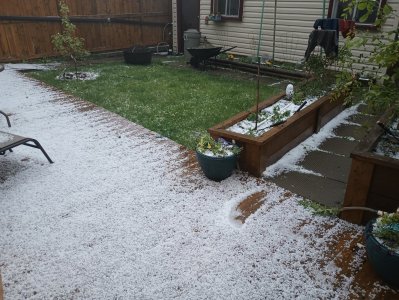 july calgary.jpg