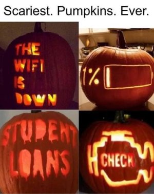 Pumpkins.jpg
