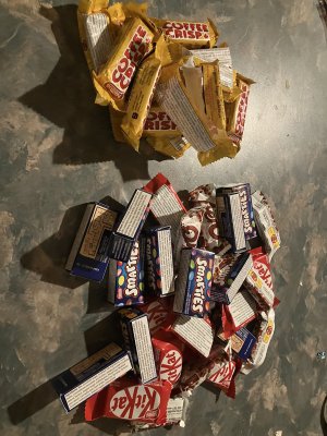 IMG_0146.jpeg