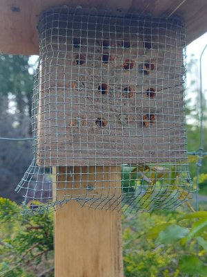 mason bee condos.jpg