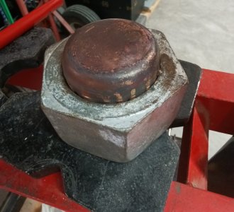 Make a Dome (4) (1).jpg