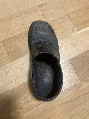 IMG_4627.jpeg