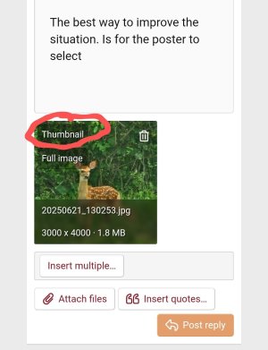 Screenshot_20250630_102705_Chrome~2.jpg