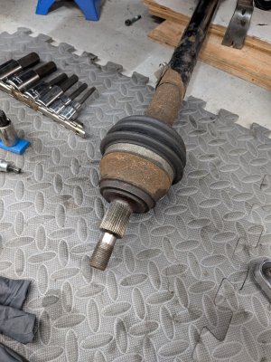 PXL_20250801_172216806.jpg