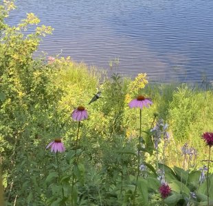 9099E4C2-E3C7-44D2-AC60-518D5517F813.jpeg