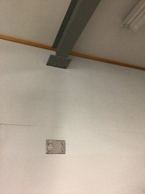 IMG_2163.jpeg