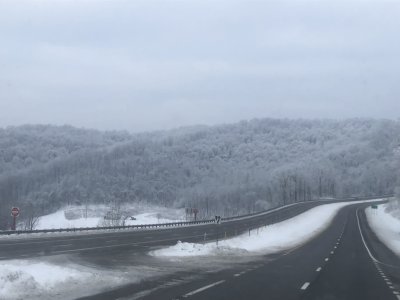 IMG_5154.jpeg