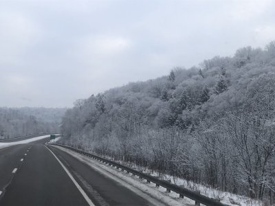 IMG_5152.jpeg