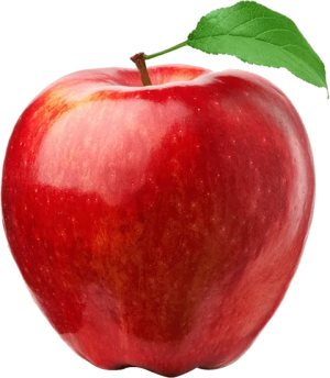 1780332933026.png