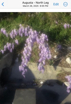 IMG_6201.jpeg