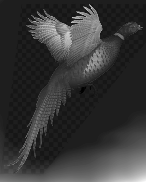 result (1).png
