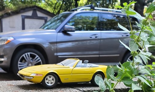 Ferrari.jpg
