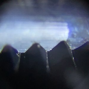 IMG_8831.jpeg