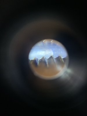 IMG_8834.jpeg