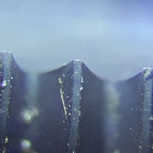 IMG_8835.jpeg