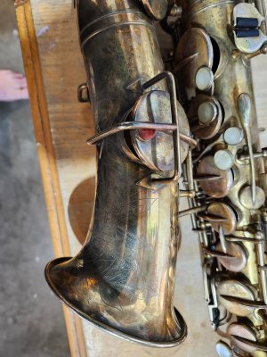 20240414_081004.jpg