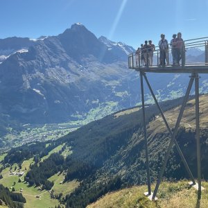 IMG_0509.jpeg