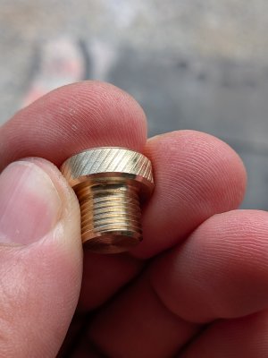 PXL_20260911_184231022.MACRO_FOCUS.jpg