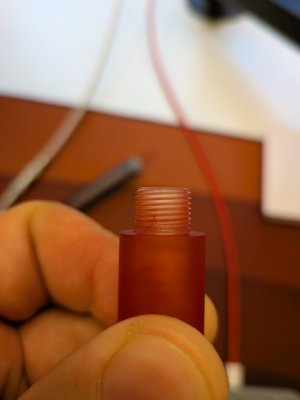 PXL_20261024_152227898.MACRO_FOCUS.jpg